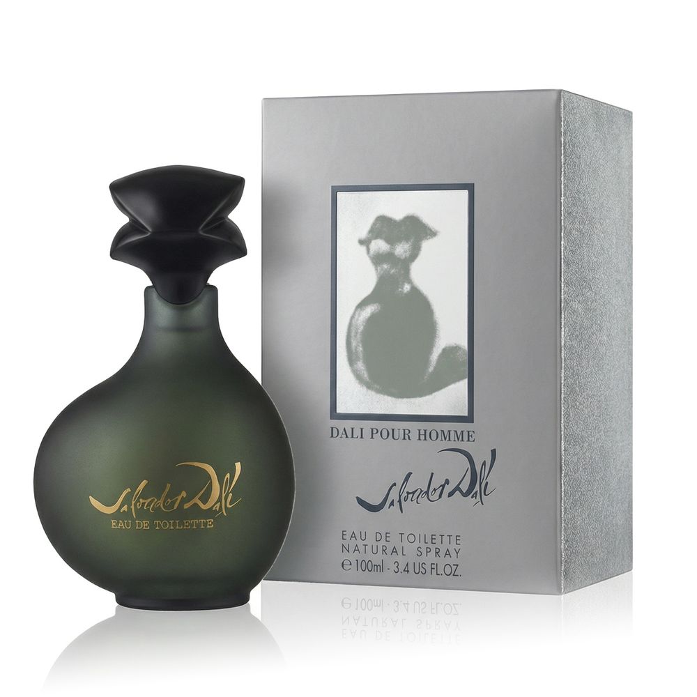Salvador Dalí Pour Homme Eau De Toilette 100 ml (man) slika 1