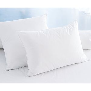 Ep-002104 White Pillow Set (2 Pieces)