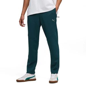 Puma Donji dio trenerke za muškarce Evostripe Warm