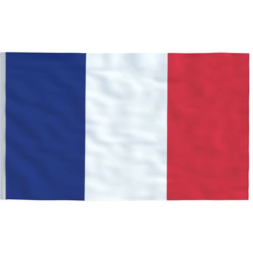 Francuska zastava i jarbol 5,55 m aluminijski slika 4