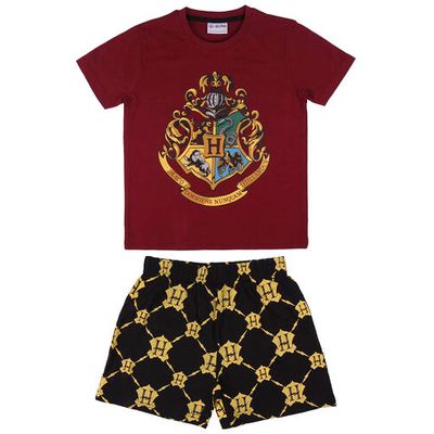 Harry Potter Hogwarts dječja pamučna pidžama

Pamuk
