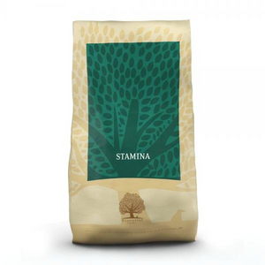 Essential Stamina 3 kg