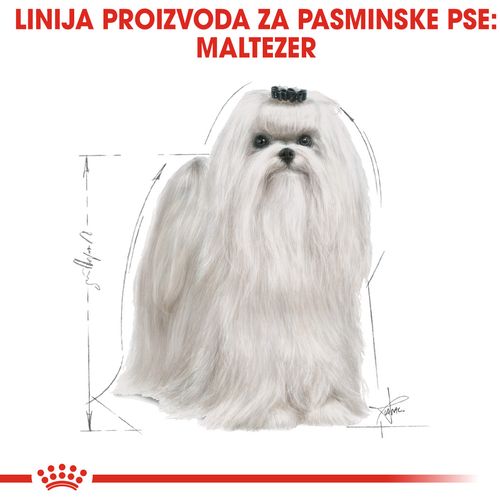 ROYAL CANIN BHN Maltese Adult, potpuna hrana specijalno prilagođena potrebama odraslih i starijih pasa pasmine maltezer, 500 g slika 4