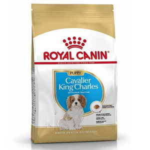 Royal Canin CAVALIER KING CHARLES JUNIOR – za  king čarls kavaljer pse do 10 meseci starosti 1.5kg