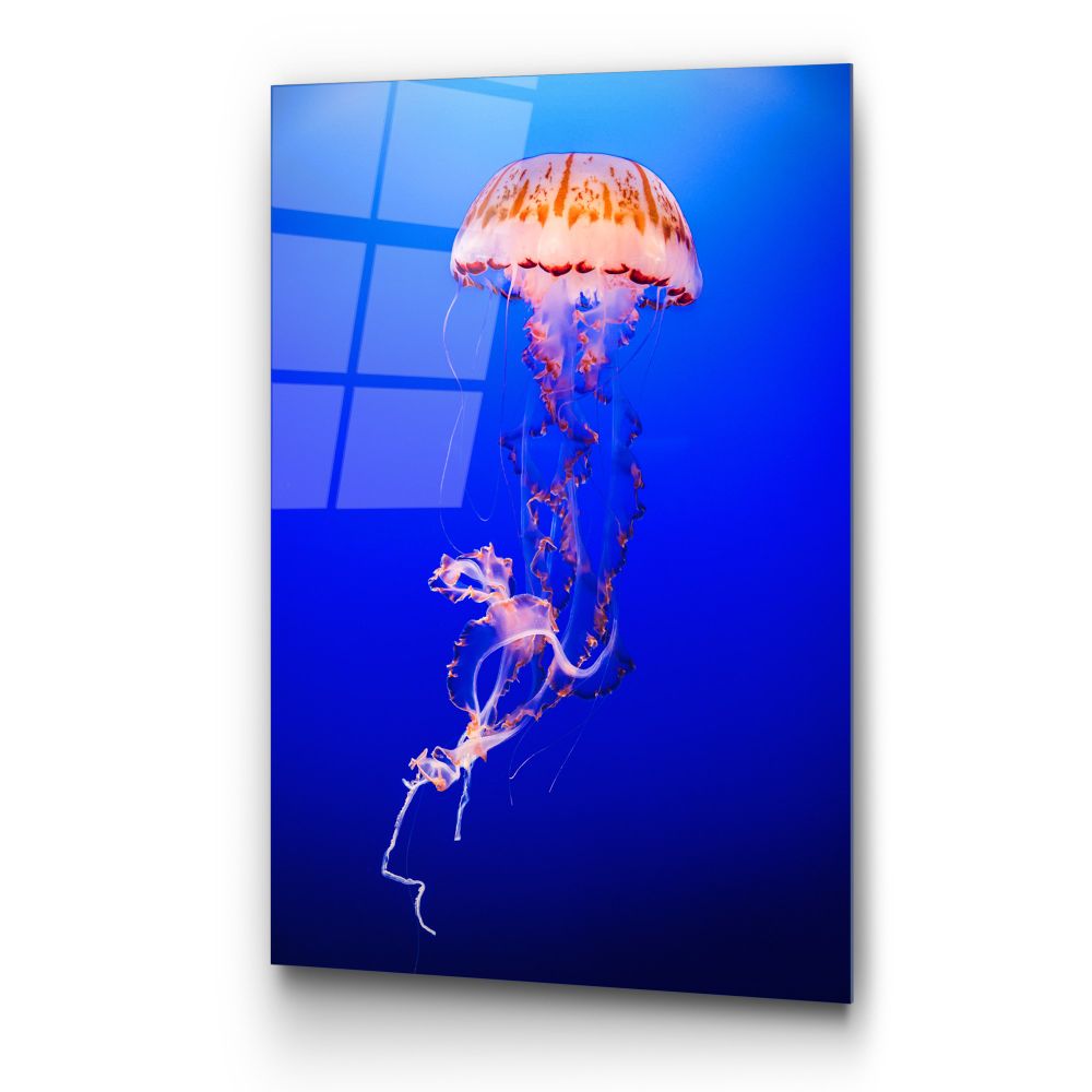 UV-154 Dekorativna Slika na Kaljenom Staklu, 70 x 100 cm, Višebojna slika 6