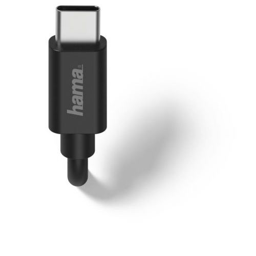 Hama Kućni punjač, USB tip-C, 2.4 A, crni slika 2