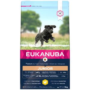 Eukanuba Developing Junior Large breed, 12 kg