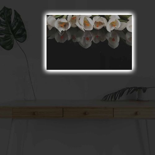 Wallity Slika dekorativna platno sa LED rasvjetom, 4570DHDACT-079 slika 1