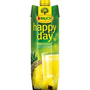 HAPPY DAY Ananas 1l