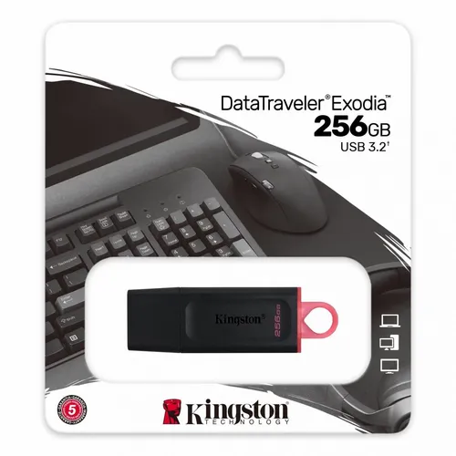 Kingston USB Flash memorija 256GB DTX/256GB slika 3
