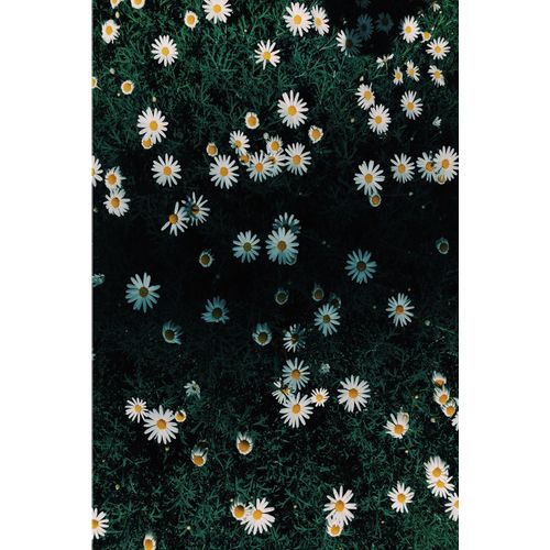 WOOKECE187 Multicolor Carpet (60 x 100) slika 2