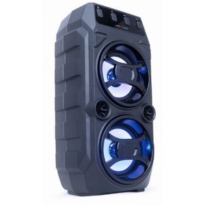 SPK-BT-13 Gembird Portable Bluetooth karaoke speaker 2x5W, FM, USB, SD, 3,5mm, MIC 6,35mm, LED,black