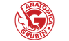 Grubin logo