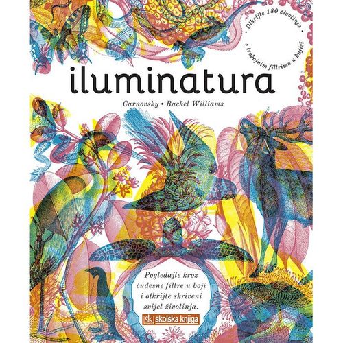 Iluminatura slika 1