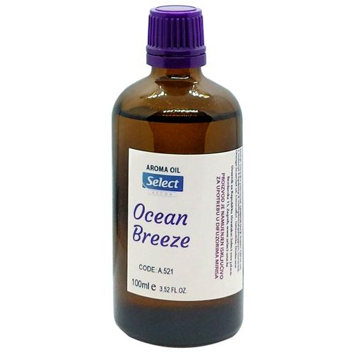 Ocean Breeze (mirisno ulje 100ml) slika 1