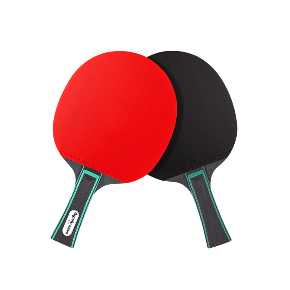 Deli Agnite Reket za stoni tenis sa futrolom F2312 slika 1
