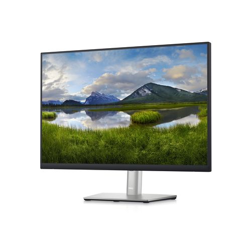 Dell monitor 24" P2423 IPS 1920x1200/300cd/VGA/DVI/HDMI/DP/USB/VESA/pivot slika 2