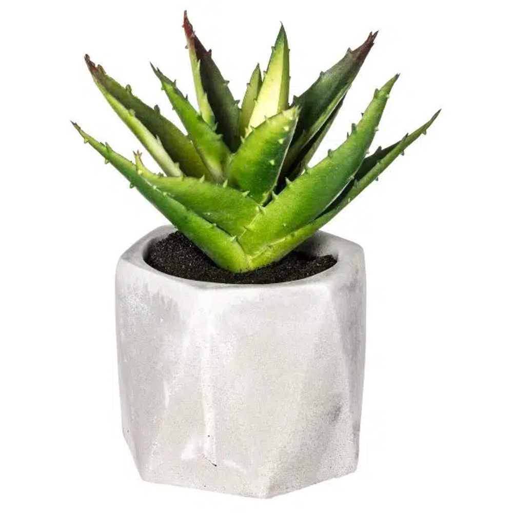 Atmosphera umjetno cvijeće u tegli sukulenti 7x14cm pvc/cement bijela slika 1