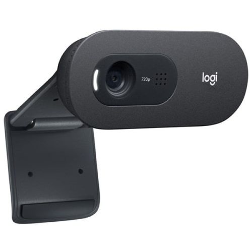 Web camera Logitech C505e 960-001372 slika 2