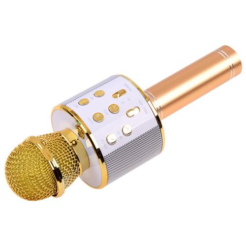 Mikrofon USB - Zlatni slika 3