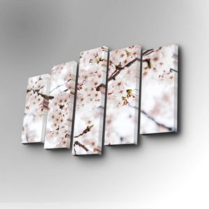 5PUC-079 Multicolor Decorative Canvas Painting (5 Pieces)