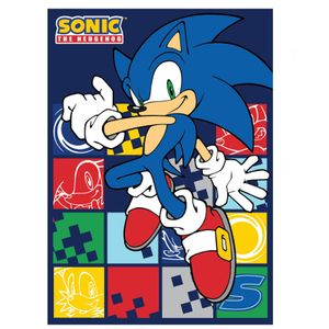 Sonic the Hedgehog polar blanket