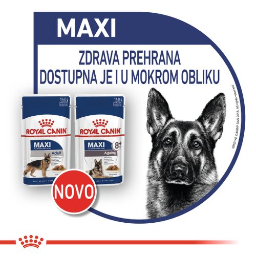 ROYAL CANIN SHN Maxi adult vrećice za pse, potpuna hrana za odrasle pse velikih pasmina (od 26 do 44 kg, od 15 mjeseci do 8 godina starosti, 10x140g slika 2