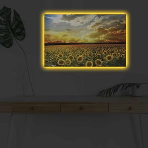 Wallity Slika dekorativna platno sa LED rasvjetom, 4570DHDACT-088