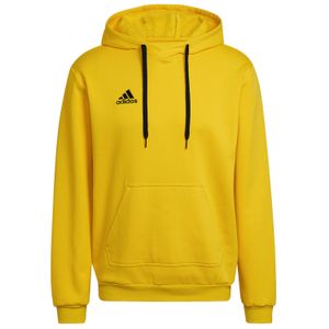 Adidas Entrada 22 ženski hoodie/dukserica HI2140