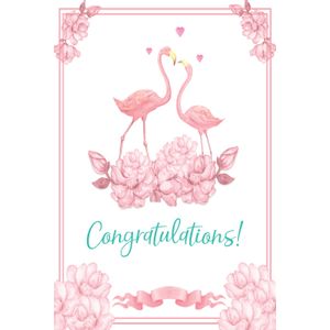 (VK 133) Congratulations - Flamingosi