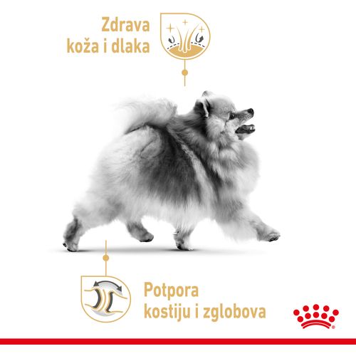 ROYAL CANIN BHN Pomeranian Adult, potpuna hrana za pse, specijalno za odrasle i starije pse pasmine pomeranac starije od 8 mjeseci, 1,5 kg slika 4