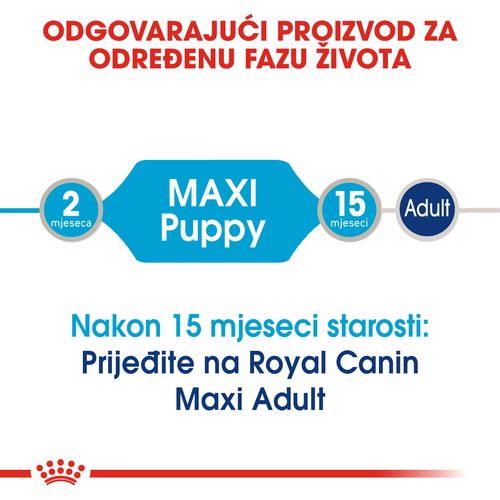 ROYAL CANIN SHN Maxi PUPPY vrećice za pse, potpuna hrana za pse, specijalno za štence velikih pasmina (konačne težine od 26 do 44 kg), do 15 mjeseci starosti, 10x140 g slika 9
