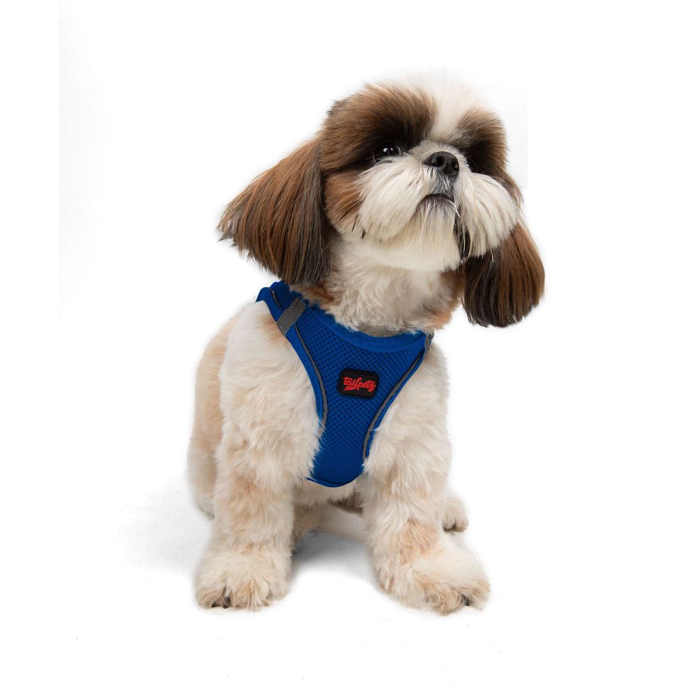 Air-Mesh - Sax Blue Sax Blue Dog Harness slika 4