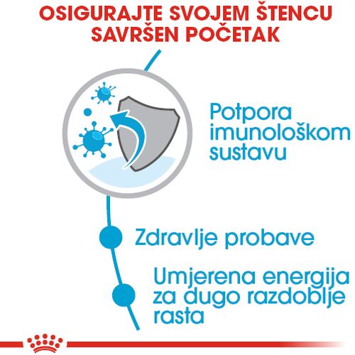 ROYAL CANIN SHN Maxi PUPPY, potpuna hrana za pse, specijalno za štence velikih pasmina (konačne težine od 26 do 44 kg)  do 15 mjeseci starosti, 1 kg slika 6