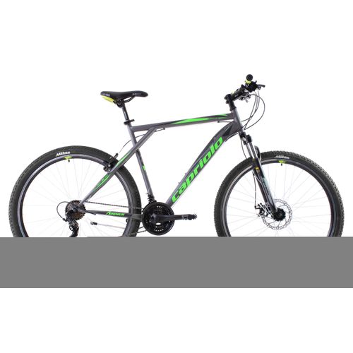 CAPRIOLO bicikl MTB ADRENALIN 29 silver green slika 3