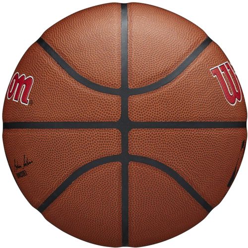 Wilson Team Alliance Toronto Raptors košarkaška lopta WTB3100XBTOR slika 3