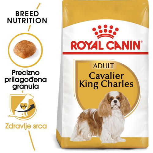 ROYAL CANIN BHN Cavalier King Charles Adult, potpuna hrana specijalno prilagođena potrebama odraslih i starijih kavalira kralja Charlesa, 1,5 kg slika 4