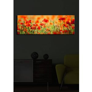 Dekorativna LED Slika na Platnu 3090İACT-13 u Više Boja