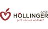 Hollinger logo
