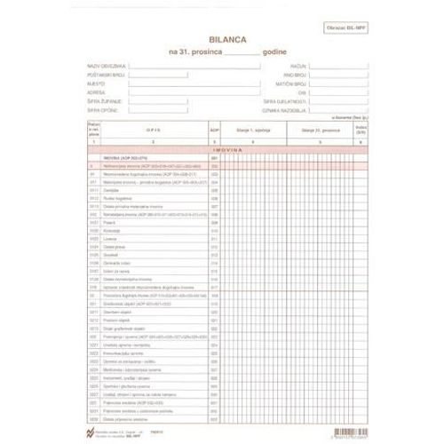 BIL-NPF BILANCA ZA NEPROFITNE ORGANIZACIJE; Komplet (arak + list), 21 x 29,7 cm slika 2