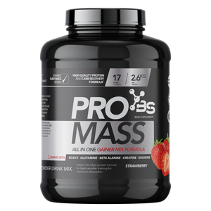  Basic Supplements Pro Mass / 2600Gr