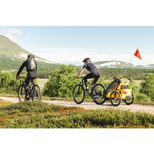 Thule Chariot Sport 2 crna sportska dječja kolica i prikolica za bicikl za dvoje djece (4u1) slika 17