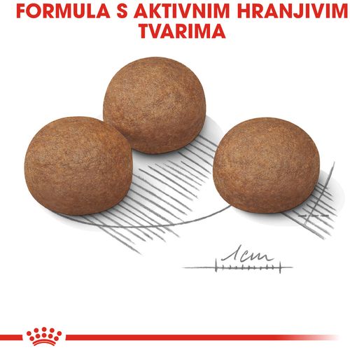 ROYAL CANIN CCN Maxi Digestive, potpuna hrana za pse - Za odrasle i starije pse velikih pasmina (od 26 do 44 kg) - Stariji od 15 mjeseci - Psi skloni osjetljivoj probavi, 3 kg slika 9