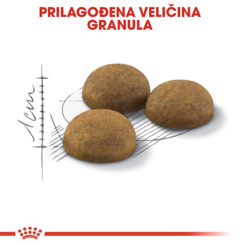 ROYAL CANIN FHN Indoor Long Hair, potpuna i uravnotežena hrana za odrasle kućne mačke duge dlake (1-7 godina), 2 kg slika 6