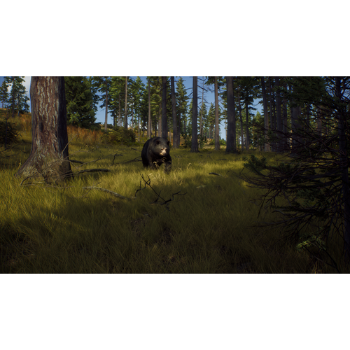 Way of the Hunter (PC) slika 3