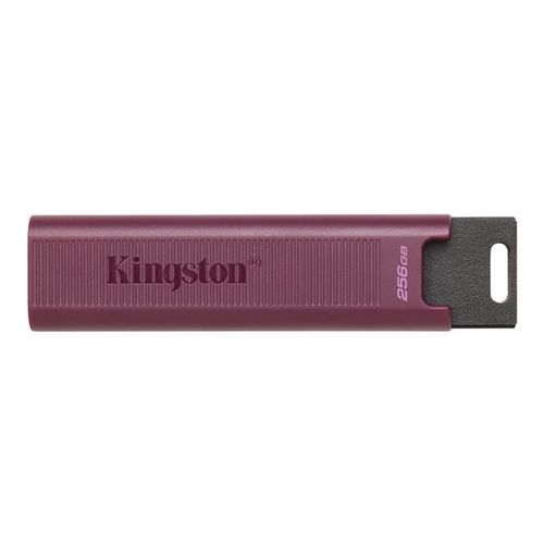 USB stick KINGSTON 512GB USB3.2 TypeA DataTraveler, DTMAXA/512GB slika 1