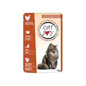Cat Joy hrana za mačke u umaku Piletina 85g 