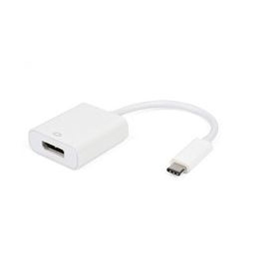 Pretvarač E-Green USB-C (M) - Display Port (F) slika 1