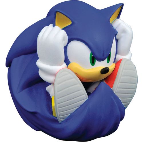 Sonic The Hedgehog kasica prasica slika 1