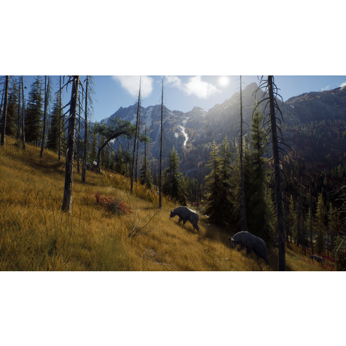 Way of the Hunter (Xbox Series X & Xbox One) slika 4